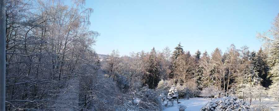 Landschaft