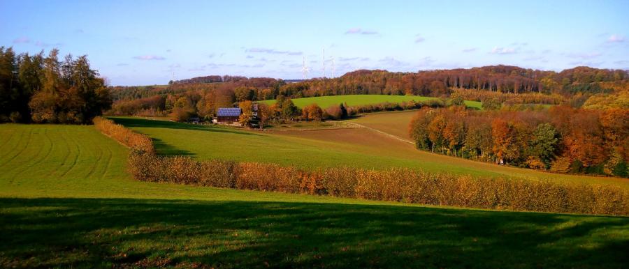 Landschaft