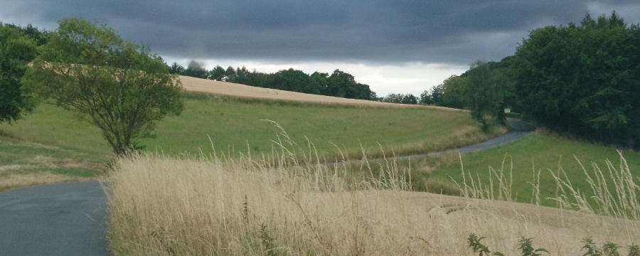 Landschaft